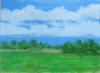 field