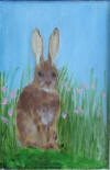 brown bunny