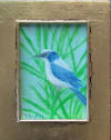 bluebird